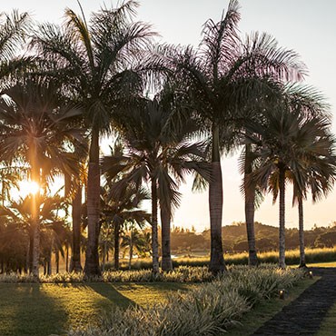 jardin Château de Bel Ombre avec vue panoramique sur coucher de soleil